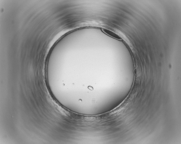 X0000086951339200705071433