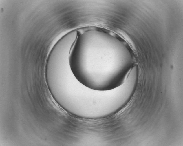 X0000086951340200705071433