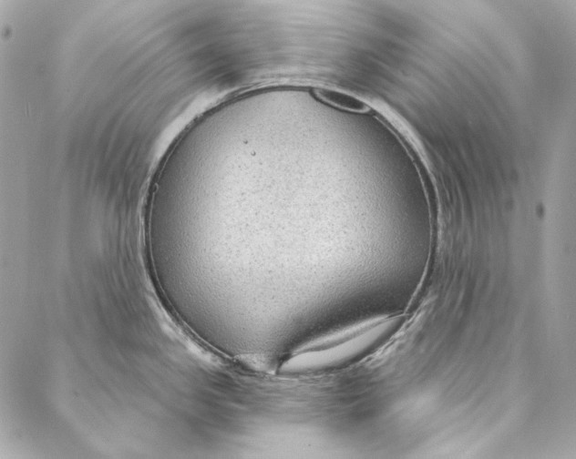 X0000086951341200705071433