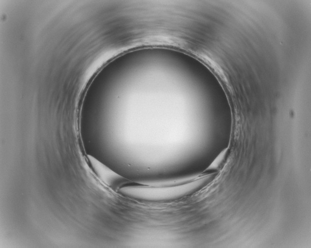 X0000086951342200705071433