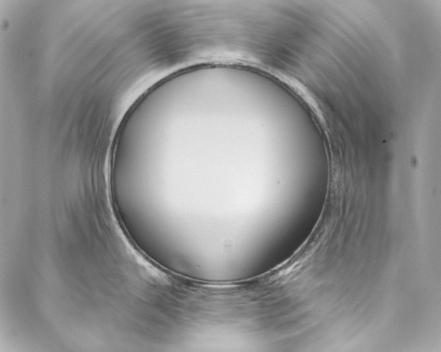 X0000086951343200705071433