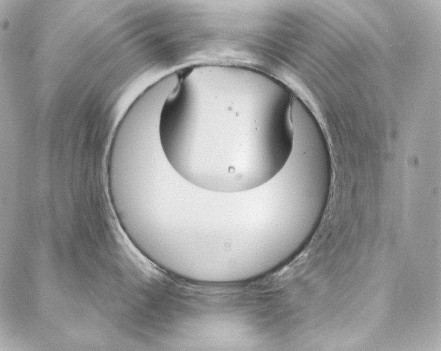 X0000086951344200705071434