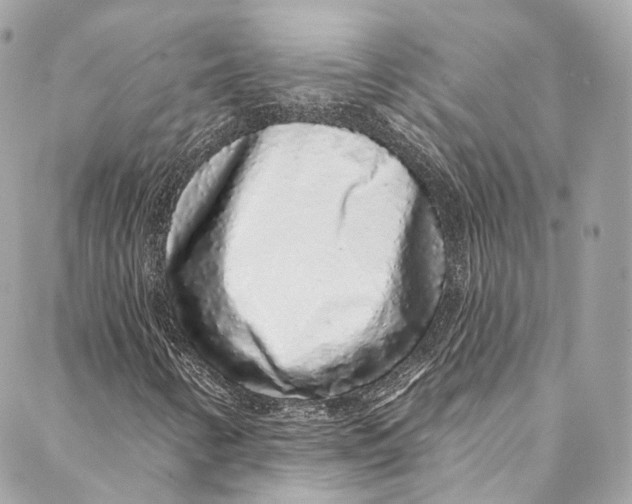 X0000086951346200705071433