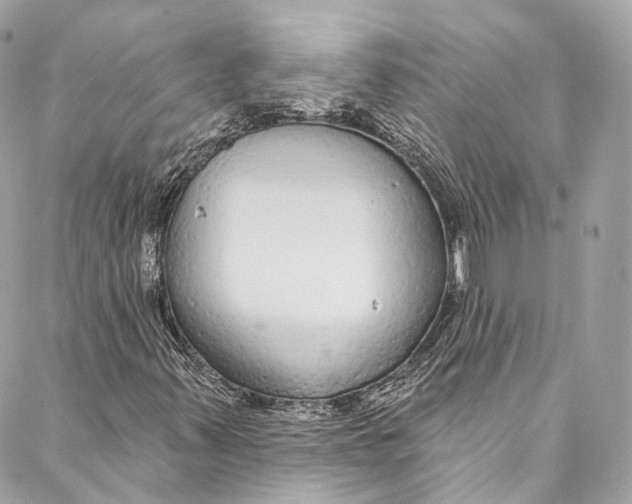 X0000086951347200705071433