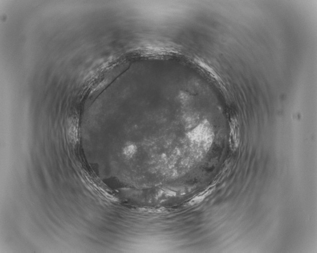 X0000086951348200705071433