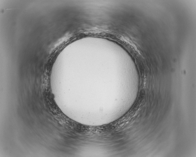 X0000086951350200705071433