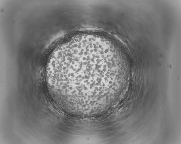 X0000086951351200705071433