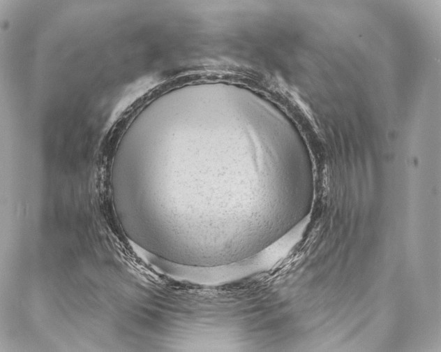 X0000086951352200705071433