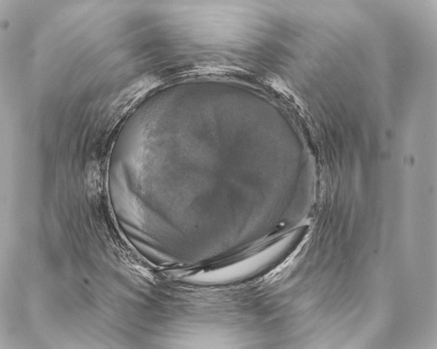 X0000086951353200705071433