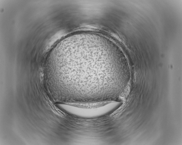 X0000086951355200705071433