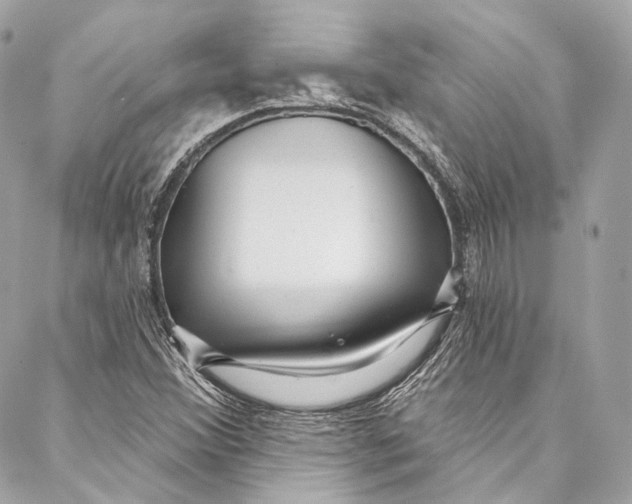 X0000086951356200705071433