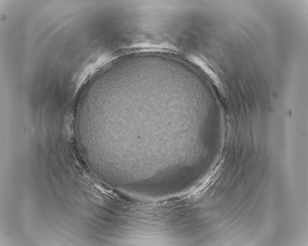 X0000086951357200705071433