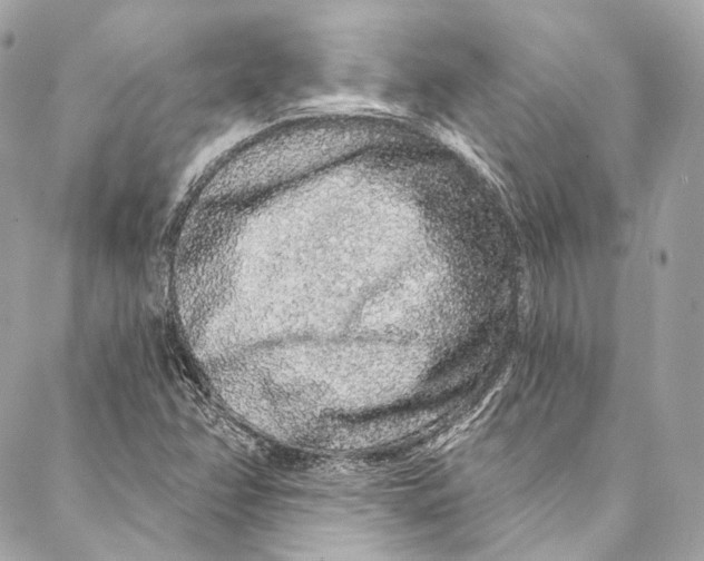 X0000086951358200705071433