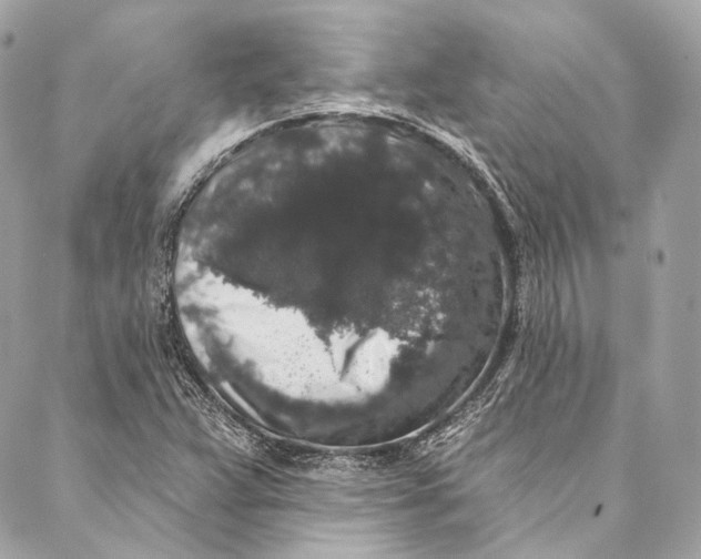 X0000086951359200705071432