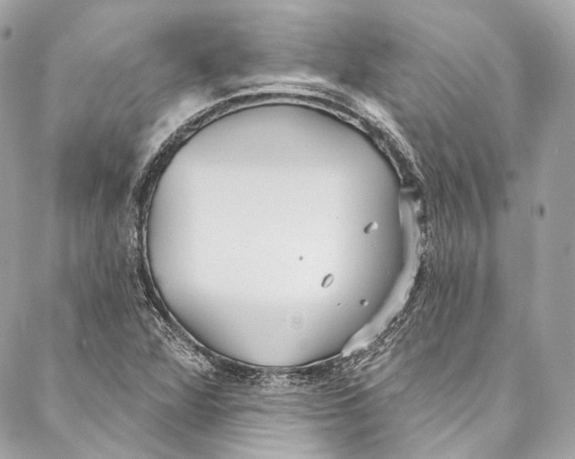 X0000086951360200705071432