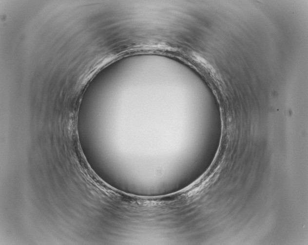 X0000086951361200705071432