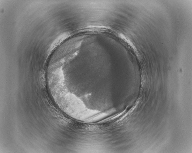 X0000086951362200705071432