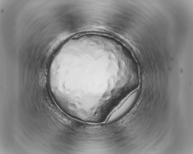 X0000086951363200705071432