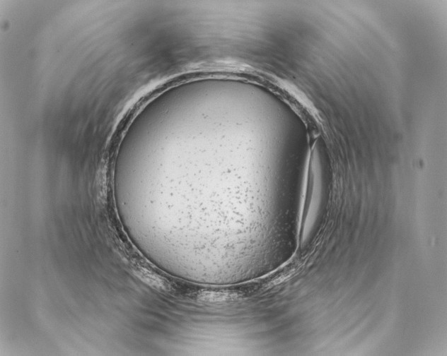 X0000086951364200705071432