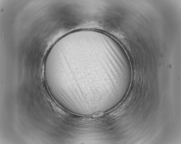 X0000086951366200705071432