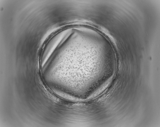 X0000086951368200705071432