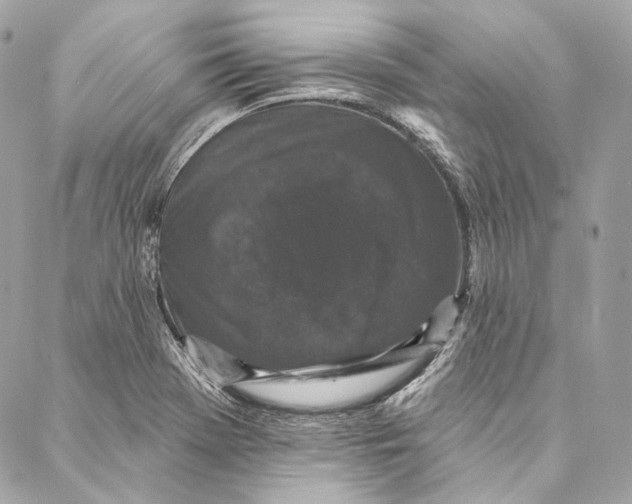 X0000086951369200705071432