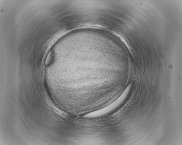 X0000086951371200705071432