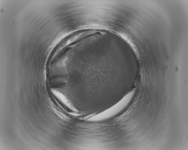 X0000086951372200705071432