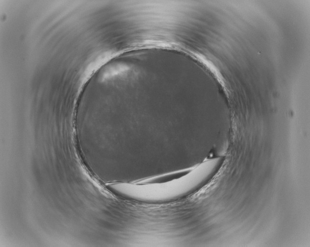 X0000086951373200705071432