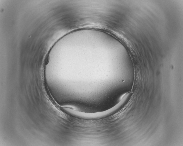 X0000086951375200705071432