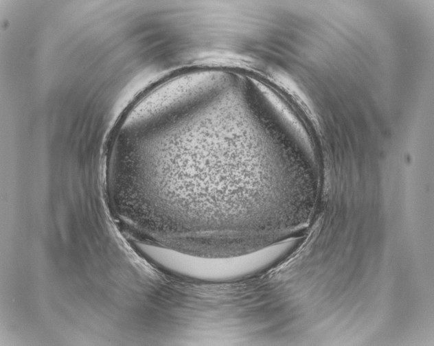 X0000086951376200705071432