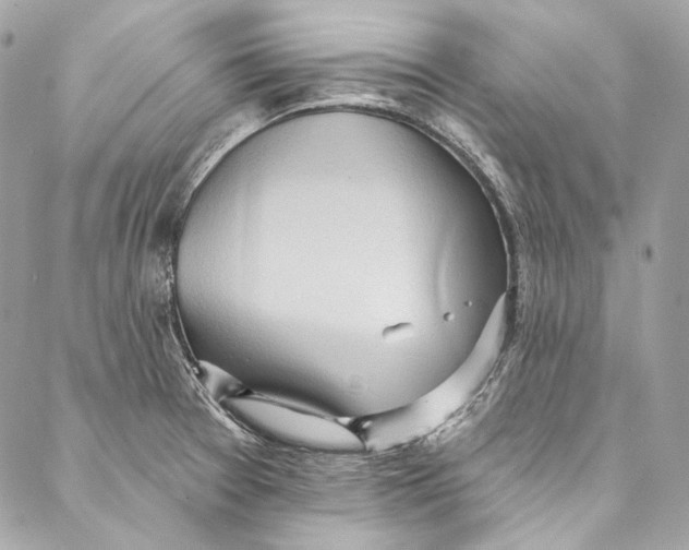 X0000086951377200705071432