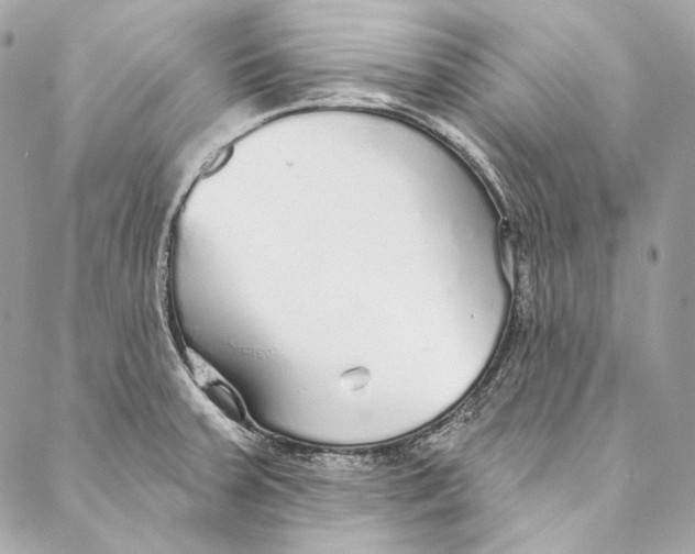 X0000086951379200705071432