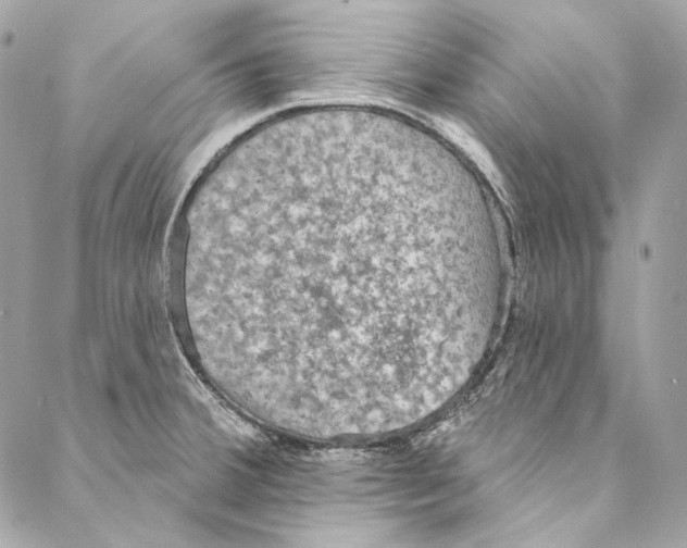 X0000086951380200705071432