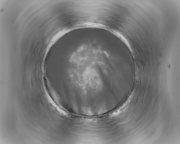 X0000086951381200705071432