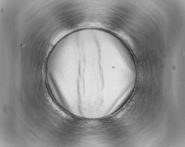 X0000086951382200705071432