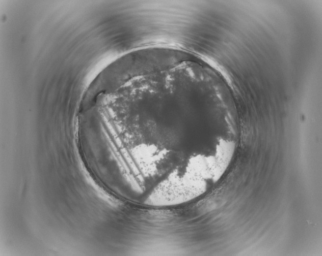 X0000086951383200705071432