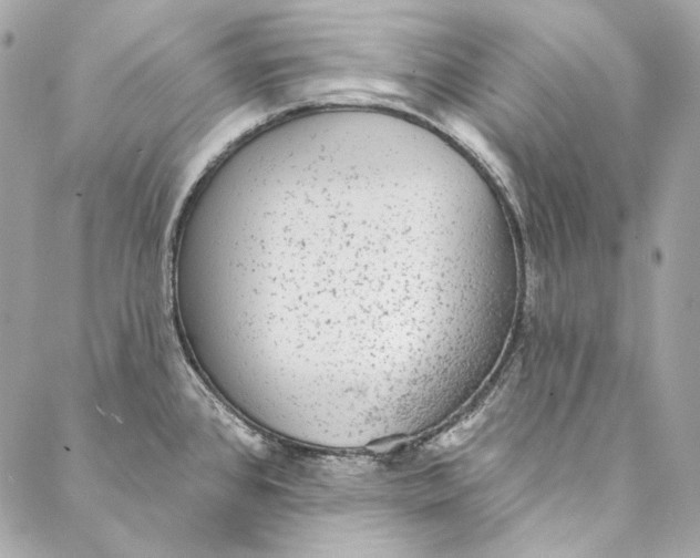 X0000086951384200705071432