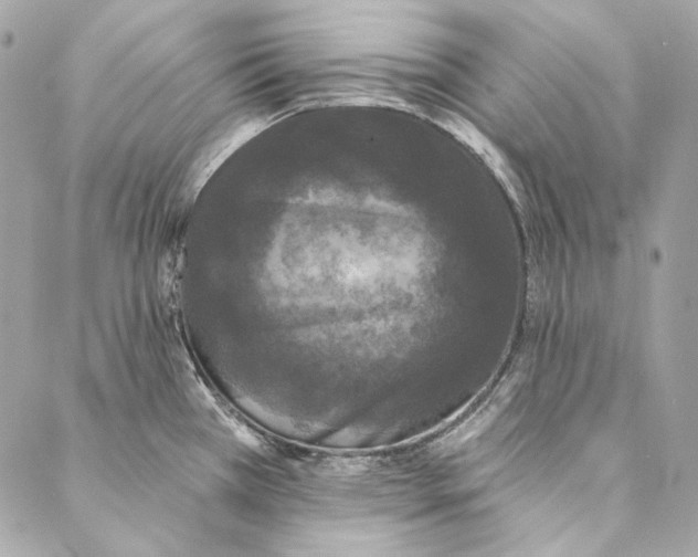 X0000086951385200705071432