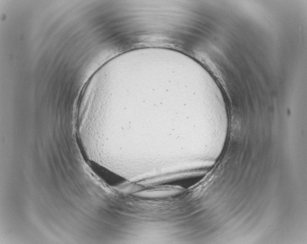 X0000086951386200705071432