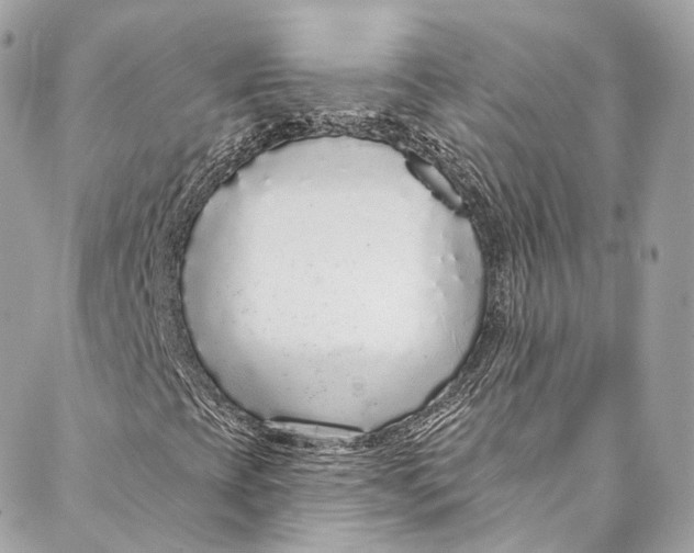 X0000086951393200705071431