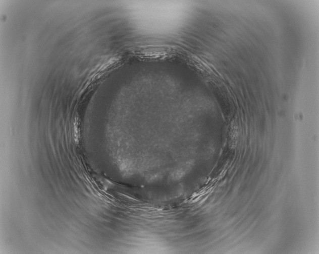 X0000086951394200705071431