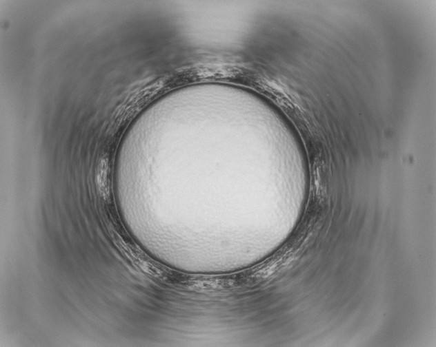 X0000086951396200705071431