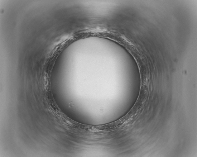 X0000086951398200705071431