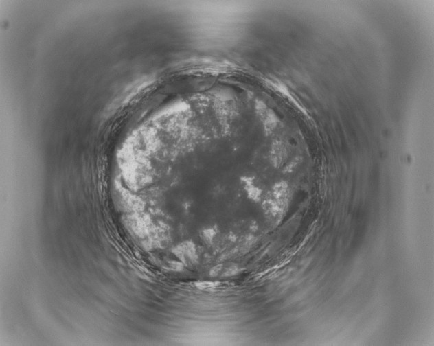 X0000086951399200705071431