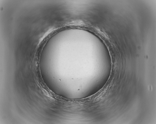 X0000086951400200705071431