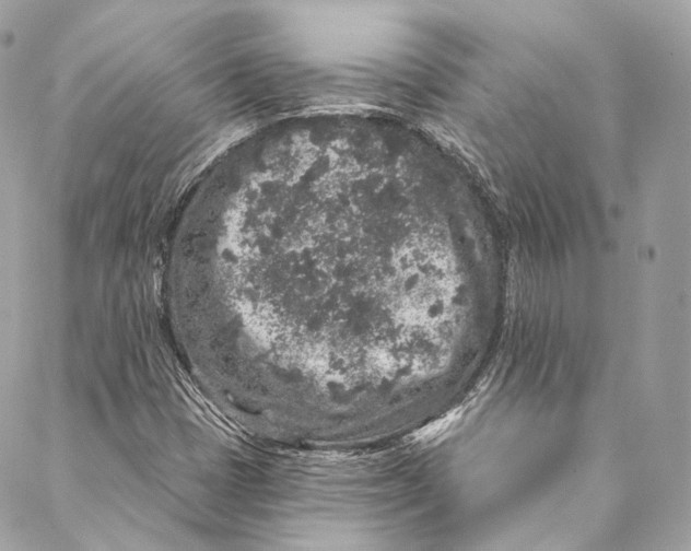 X0000086951401200705071431