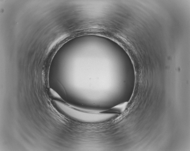 X0000086951402200705071431