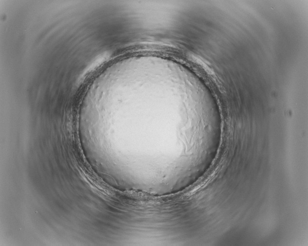 X0000086951403200705071431