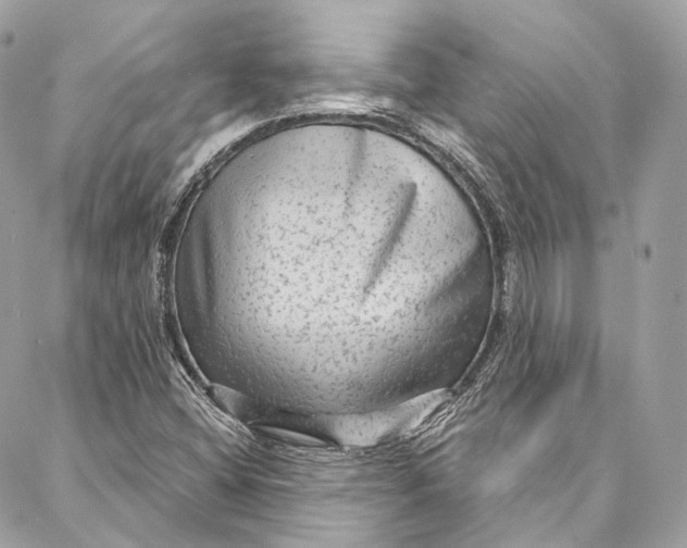 X0000086951404200705071431